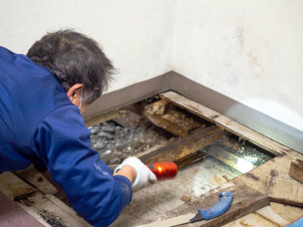 Best Crawl Space Mold Removal  in Atkins, IA